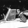 David Hedison