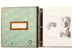 Animal World Ephemera