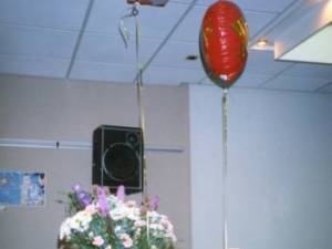 Vip