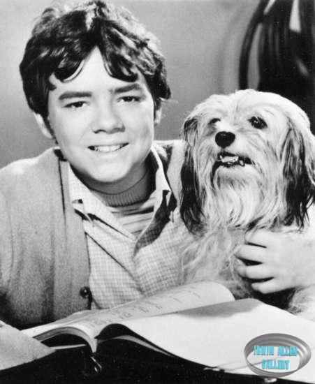 Stefan Arngrim and Chipper