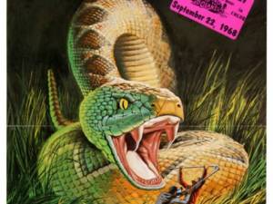 Aurora Snake Poster