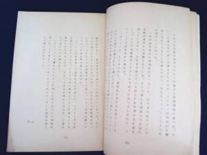 Japanese Weird World Script