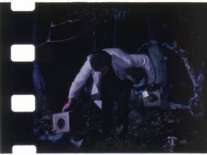 View-Master