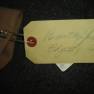 Betty Hamilton Costume