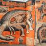 Japanese Comic 16 July 1967