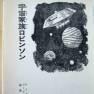 Japanese Lost in Space Novel