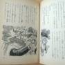 Japanese Lost in Space Novel