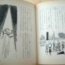 Japanese Lost in Space Novel