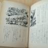 Japanese Lost in Space Novel