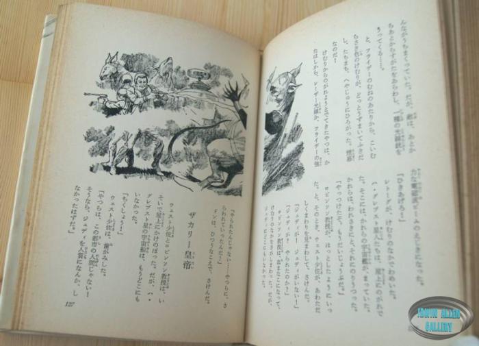 Japanese Lost in Space Novel