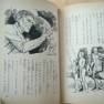Japanese Lost in Space Novel