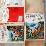 Japanese Lost in Space Novel