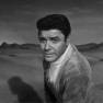 Guy Williams