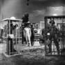 Guy Williams