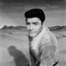 Guy Williams