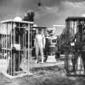 Guy Williams in Hunters Moon
