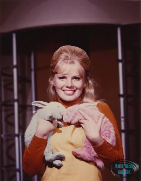 Marta Kristen