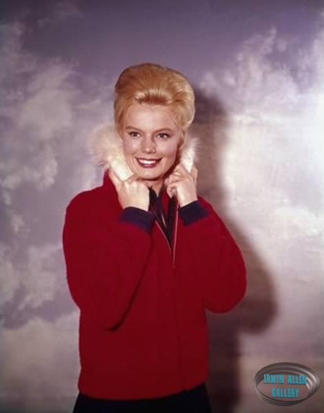 Marta Kristen