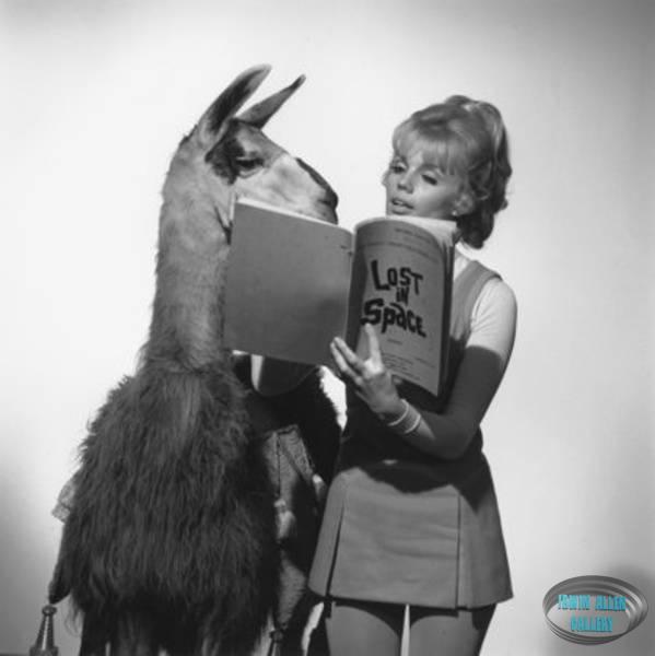 Marta Kristen Reading Script with Llama