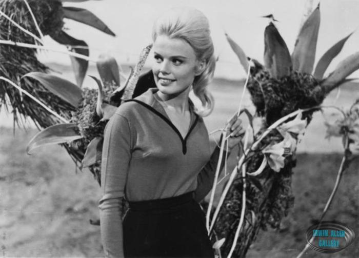 Marta Kristen