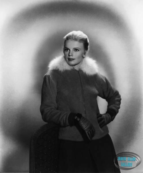 Marta Kristen