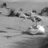 The Sky Is Falling Tauron Crab Robot