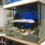 Voyage to the Bottom of the Sea Diorama