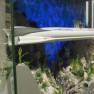Voyage to the Bottom of the Sea Diorama