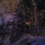 Voyage to the Bottom of the Sea Diorama