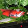 Spindrift Diorama