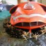Moebius Models 1/128 Scale Spindrift Build