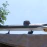 Moebius Models Seaview Kit