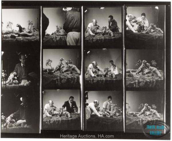 Animal World Contact Sheet
