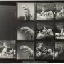 Animal World Contact Sheet
