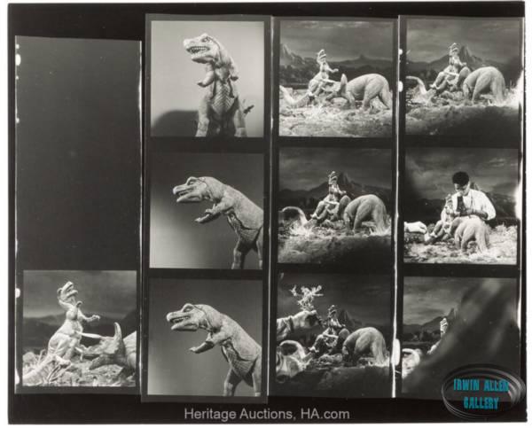 Animal World Contact Sheet
