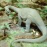 Animal World Brontosaurus