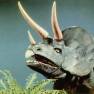 Animal World Triceratops