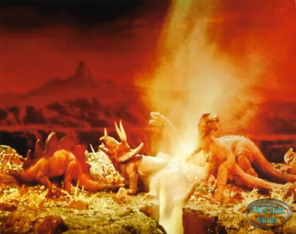 Animal World Battle