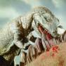 Animal World Dinosaur