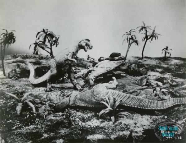 Animal World Battle