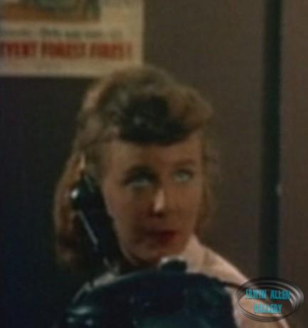 Hotel Operator