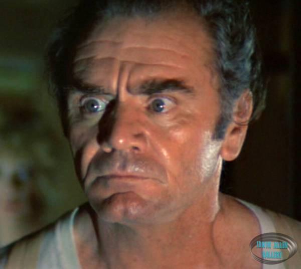 Ernest Borgnine - Det. Lt. Mike Rogo