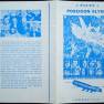 Icelandic Poseidon Adventure Flyer