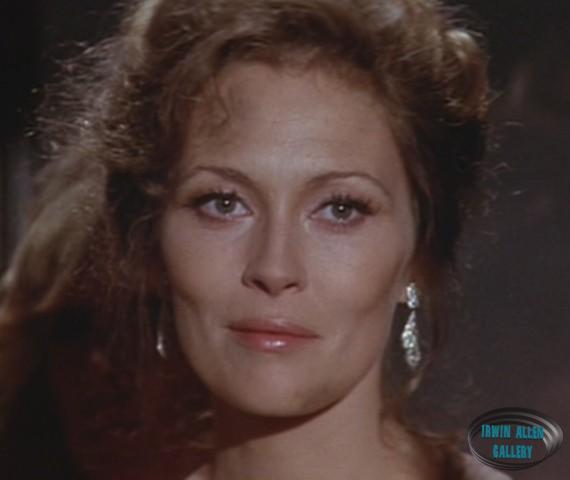 Faye Dunaway - Susan Franklin