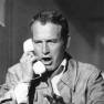 Paul Newman