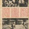 Capricho Page 32