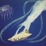 Giant Squid
