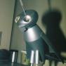 Replica of Nik the Robot Parrot