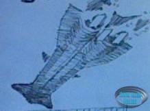 Voyage to the Bottom of the Sea Drawing