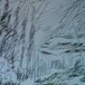 Voyage to the Bottom of the Sea Drawing